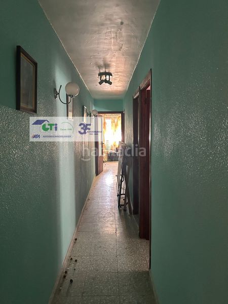 Foto c6a3e68e-be87-4dad-accb-bf02ea09ed02. Pis a Sástago