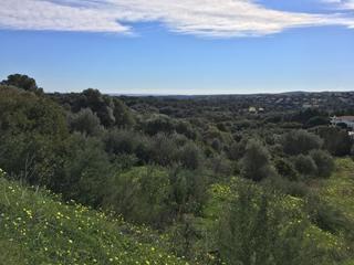 Terreny residencial a Sotogrande Alto. Parcela en venta con vistas panorámicas en la reserva sotogrande
