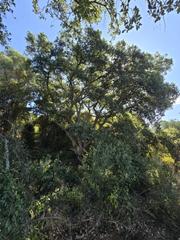 Terreny residencial a Sotogrande Alto. Amplia parcela de construcción de esquina para villa de lujo en