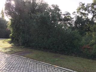 Terreny residencial a Sotogrande Alto. Amplia parcela de construcción de esquina para villa de lujo en