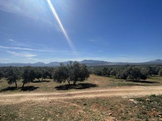 Terreny residencial a Mollina. Parcela en venta con hermosas vistas en mollina