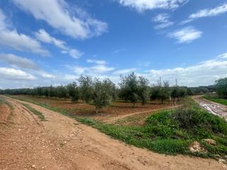 Terreny residencial a Mollina. Parcela en venta en mollina