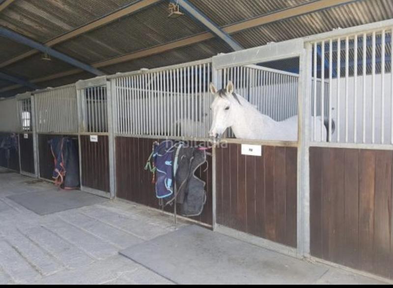 Foto 3a6f0a9e-cd68-406b-94d4-5585ada34506. Masia amb aparcament piscina a Mollina