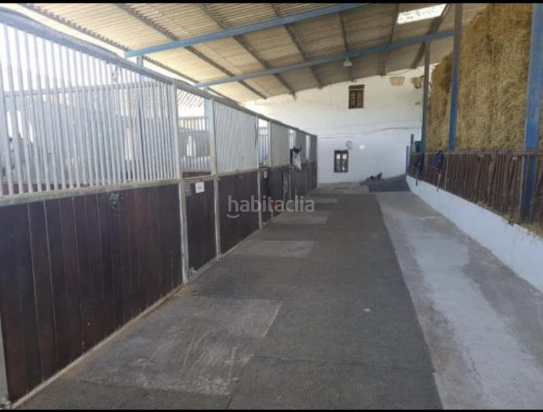 Foto 4126ec40-c7ef-4e8e-bc7a-c5826b0f3a9d. Masia amb aparcament piscina a Mollina