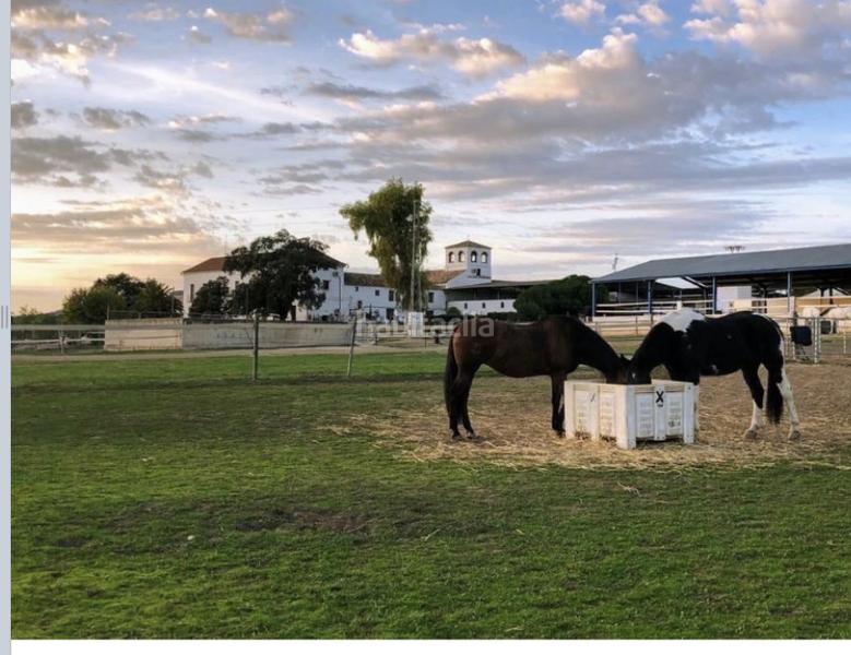 Foto d4d2d71d-1eb7-4a1e-b5a9-dce250a5f84f. Masia amb aparcament piscina a Mollina