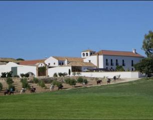 Masia a Mollina. Impresionante cortijo con 30 establos y piscina en mollina