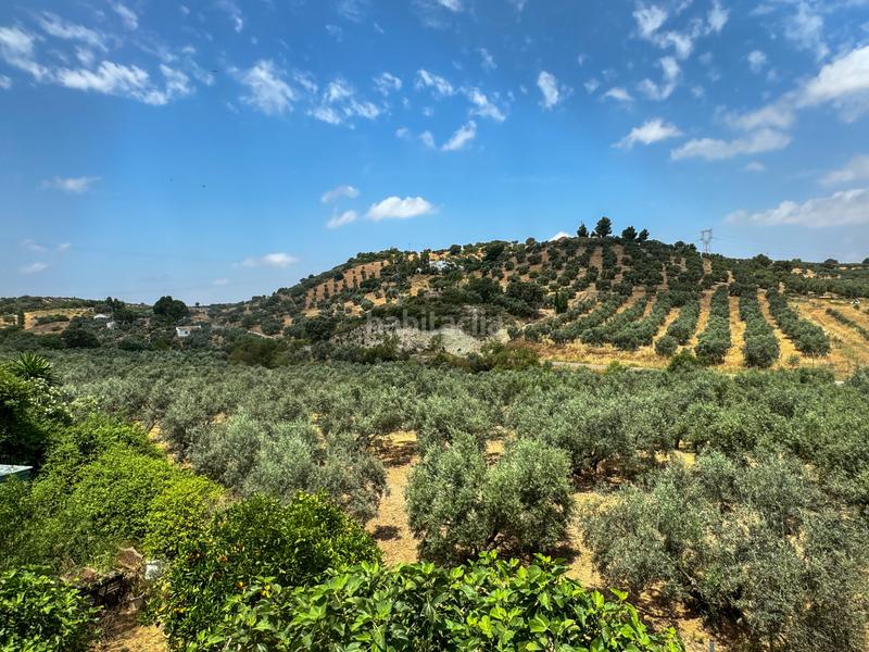 Foto 0000d489-6dad-439b-9856-d507c807ddf4. Country house in Bobadilla - Bobadilla Estación - La Joya Antequera