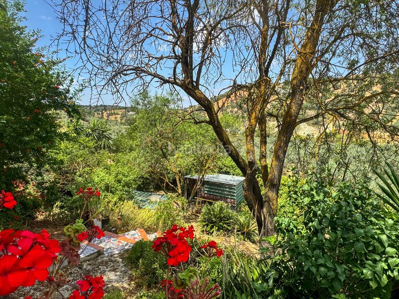 Foto 1d576b96-a7a3-4e3a-a5b8-001e30bc458f. Country house in Bobadilla - Bobadilla Estación - La Joya Antequera