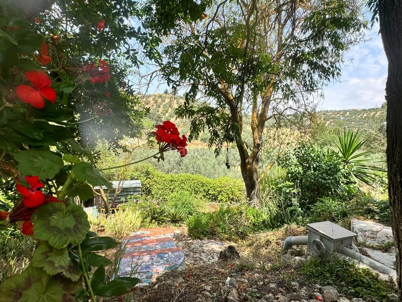 Foto 3d947002-ed95-4c69-a27b-c79a799a19d9. Country house in Bobadilla - Bobadilla Estación - La Joya Antequera