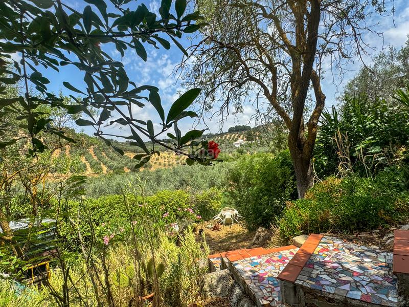 Foto b4988e35-ef40-47ed-9166-73cb20b8acbd. Country house in Bobadilla - Bobadilla Estación - La Joya Antequera