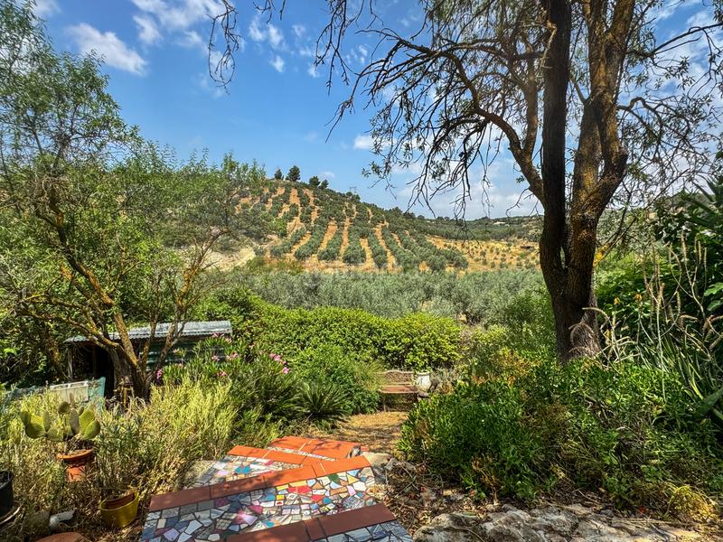 Foto d78f80b2-620a-42f8-ba25-f2652d661193. Country house in Bobadilla - Bobadilla Estación - La Joya Antequera