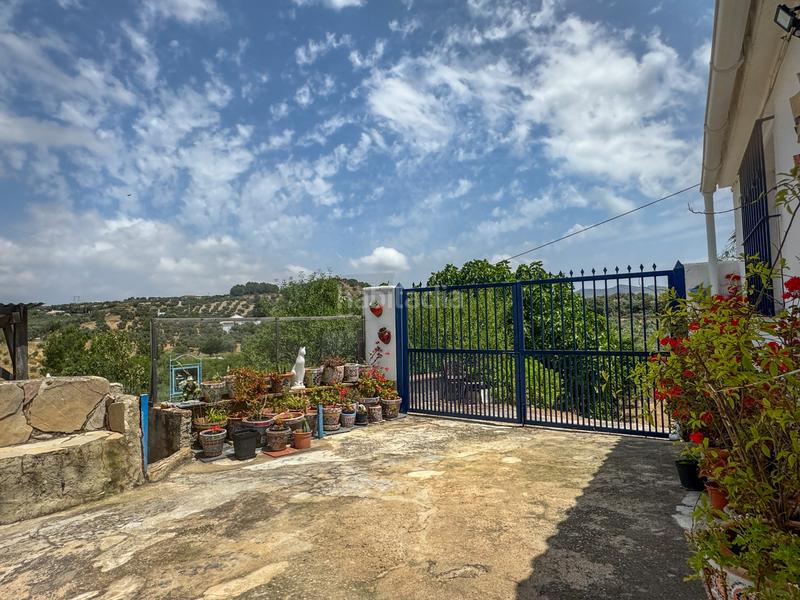 Foto e85e4574-7046-43cb-8fbe-037490eadafe. Country house in Bobadilla - Bobadilla Estación - La Joya Antequera