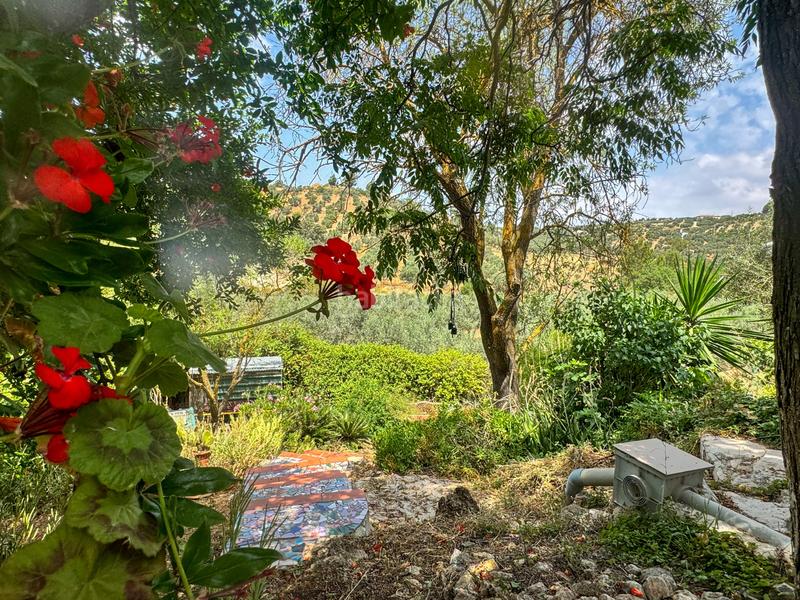 Foto fe8029d9-f425-4217-b112-bee0dfa47de1. Country house in Bobadilla - Bobadilla Estación - La Joya Antequera