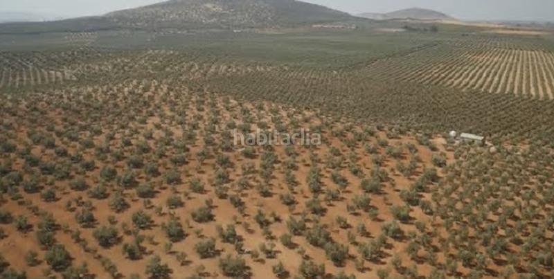 Foto 24aad560-9eda-4d63-8e94-8c3d5de325a2. Residential plot in Alameda