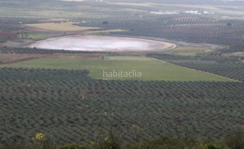 Foto 333f674a-61d5-48c0-89c0-97407e775faa. Residential plot in Alameda