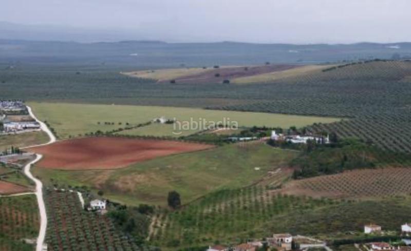 Foto c5bea63a-5cd9-4b95-9dc5-78b7f4faf11a. Residential plot in Alameda