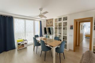 Affitto Piccolo appartamento in S´Eixample-Can Misses. Apartamento moderno de 3 dormitorios en can misses  larga duraci