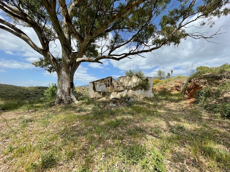 Foto fa66cc95-85d7-4da9-af0d-e061f1004434. Terreno residencial terreno rustico con ruina con vistas a la montaña, en Mijas
