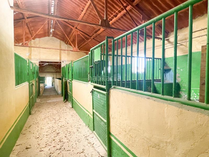 Foto 0e2b66b5-615a-4be5-a0af-e3b20804b2e2. Mas avec chauffage parking piscine dans Archidona