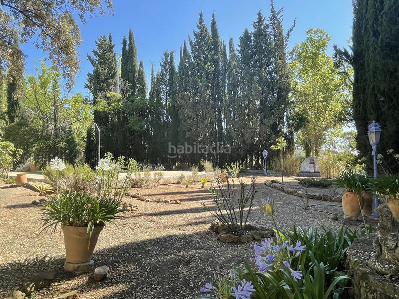 Foto 87950945-bf5b-47c1-86e7-4061a24d3831. Mas avec chauffage parking piscine dans Archidona