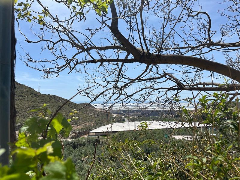 Foto 410445dd-43d9-4e4d-9312-ed6298cf31f6. Terreny residencial a Vícar pueblo Vícar