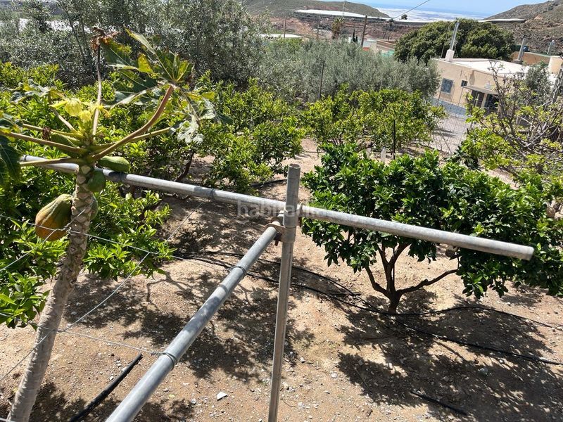 Foto 4685d8e1-f0b2-4948-8cbc-d839350734a6. Terreny residencial a Vícar pueblo Vícar