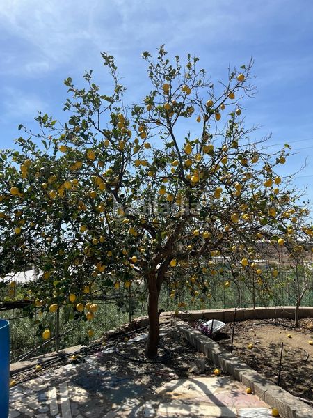 Foto 5ade72e2-8caf-455c-bbb0-cf3b29b0f9ed. Terreny residencial a Vícar pueblo Vícar