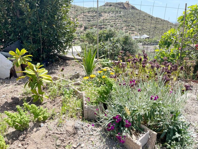 Foto 90758d5a-579e-4e04-ba5d-b76e869fccb1. Terreny residencial a Vícar pueblo Vícar