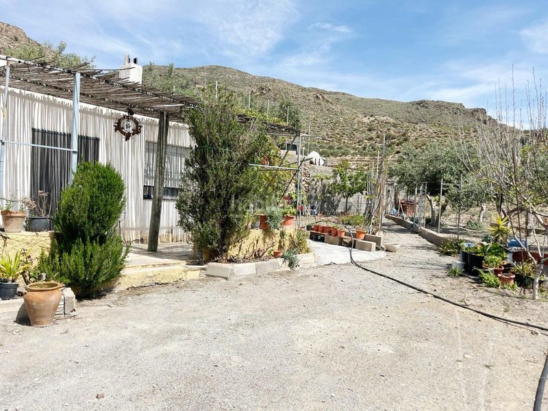 Foto 9322eefa-4273-4448-b72a-dbd5e522ae6a. Terreny residencial a Vícar pueblo Vícar