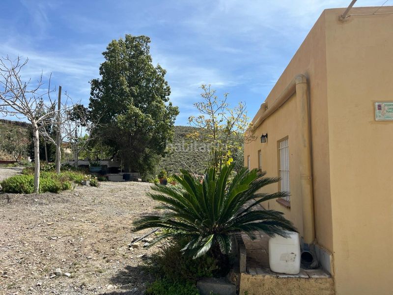 Foto a69e788d-199e-498e-9589-16421e709ffe. Terreny residencial a Vícar pueblo Vícar