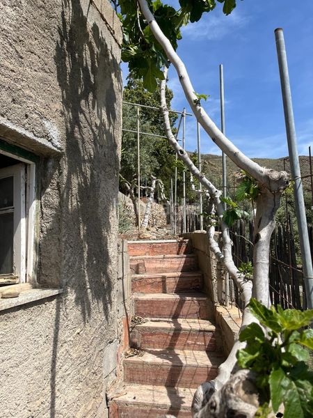 Foto b9685e4e-4928-47ac-b4ad-9b23b9e383cd. Terreny residencial a Vícar pueblo Vícar