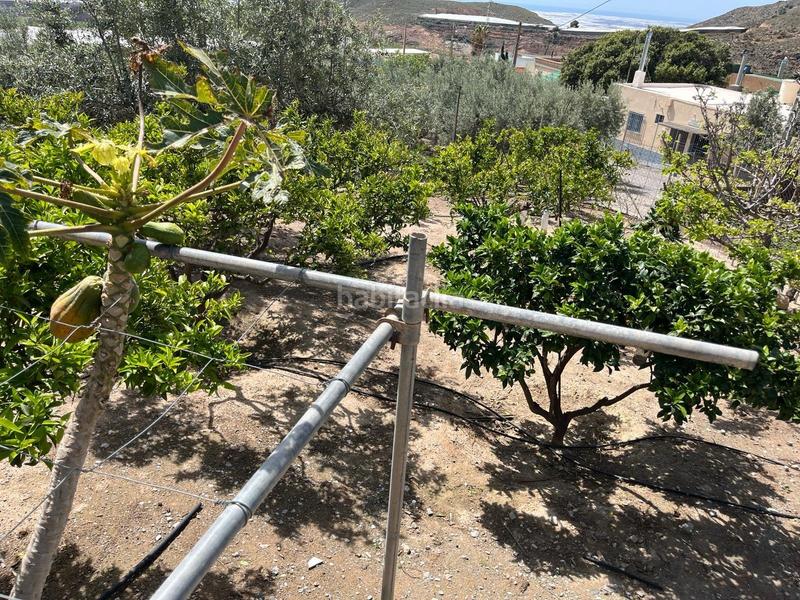 Foto bc7c8d4c-159b-4bc7-a313-646a17217bdf. Terreno residencial vicar parcela de 2.073 m2 casa de 122 m2 en Vícar