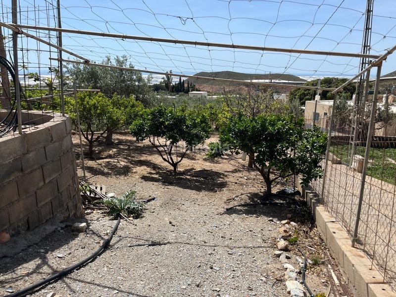 Foto ce5a7f40-a8e3-43e0-8ae5-c8bdc6cf9c71. Terreno residencial vicar parcela de 2.073 m2 casa de 122 m2 en Vícar