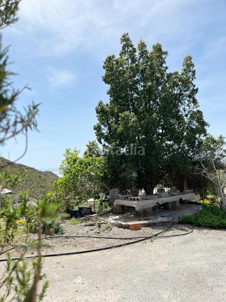 Foto cec989fa-4044-4bb5-a56e-2f06f9e37370. Terreno residencial vicar parcela de 2.073 m2 casa de 122 m2 en Vícar