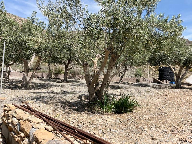 Foto d4034a26-ce2b-4716-9acc-42b0fe2fa1db. Terreno residencial vicar parcela de 2.073 m2 casa de 122 m2 en Vícar