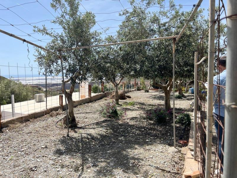 Foto f585af31-56f7-4427-a2cf-1f6fd3c14205. Terreno residencial vicar parcela de 2.073 m2 casa de 122 m2 en Vícar