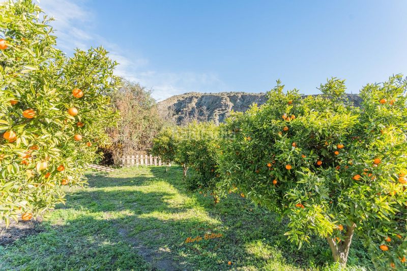 Foto 3133699c-3c10-4056-8d30-d14b843e142d. Casa amb piscina a Canjáyar