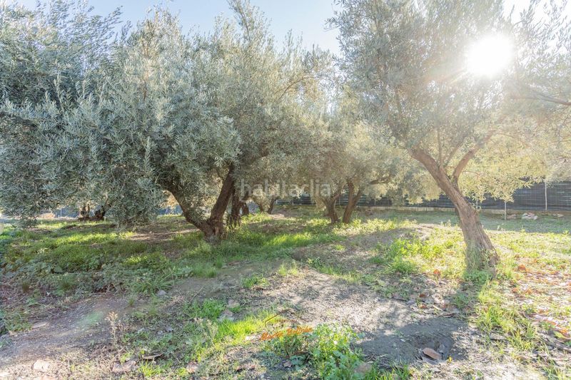 Foto 3aaa0528-311d-4f4f-a92d-34e4e6e1d1be. Casa con piscina in Canjáyar