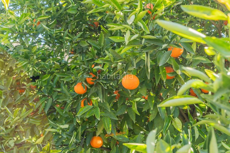 Foto 7ea606a2-abb0-4218-9a4f-f32427104f0a. Casa amb piscina a Canjáyar