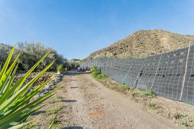 Foto cd145e75-f153-47c7-9a35-9279ea6f2e25. Casa con piscina in Canjáyar