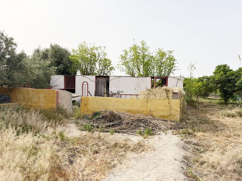 Foto 251c42e6-bd26-4d54-a5d9-9370ae3e18a1. Finca rústica a Benahadux