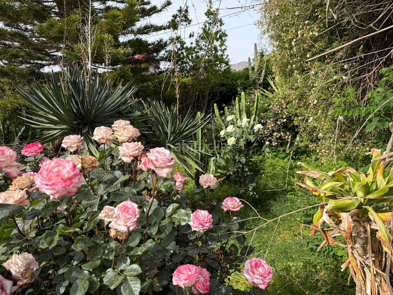 Foto 5df77cc0-bf94-489a-abc0-54cf5f5841af. Finca rústica a Benahadux