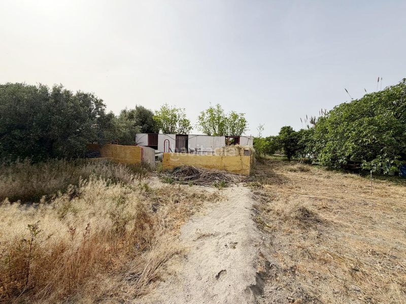 Foto 67c434b7-d767-4753-b86c-8b20df58d5ea. Finca rústica a Benahadux