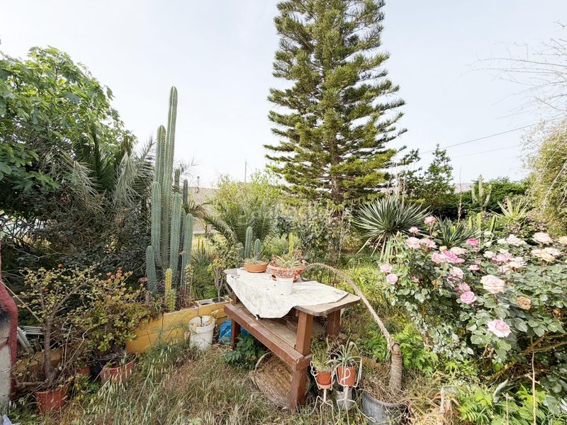 Foto 7142104c-30c5-46c9-8825-d25bcf82c909. Finca rústica a Benahadux