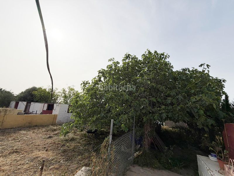 Foto bdd4eb39-327f-48d1-8b2c-61e0e26673c9. Finca rústica a Benahadux