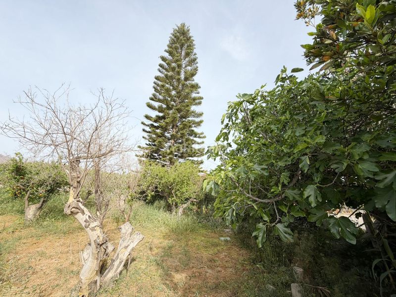 Foto d12815b5-98da-4641-a9b4-807e7f48a8ef. Finca rústica a Benahadux