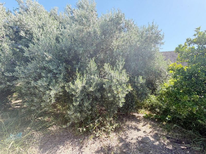 Foto 1312de14-d685-438b-8c5c-c97d916748d7. Terreny residencial a Rioja