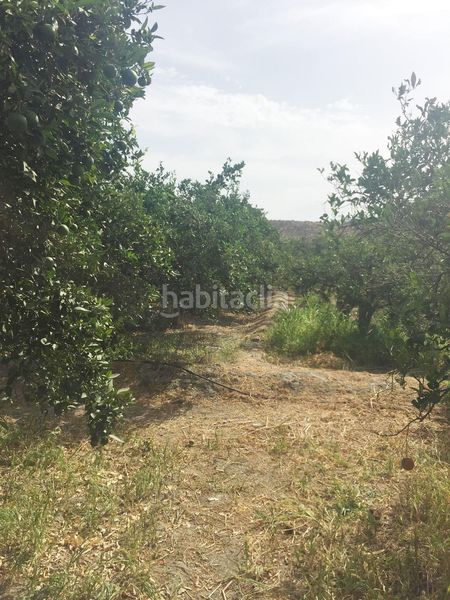 Foto ce3868f4-3a1a-4d59-8a46-c2f0931d8151. Terreny residencial a Rioja