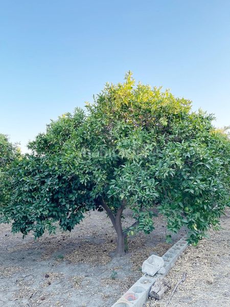 Foto d68d18e0-8178-45d8-9e45-709d1e73e1b7. Terreny residencial a Rioja