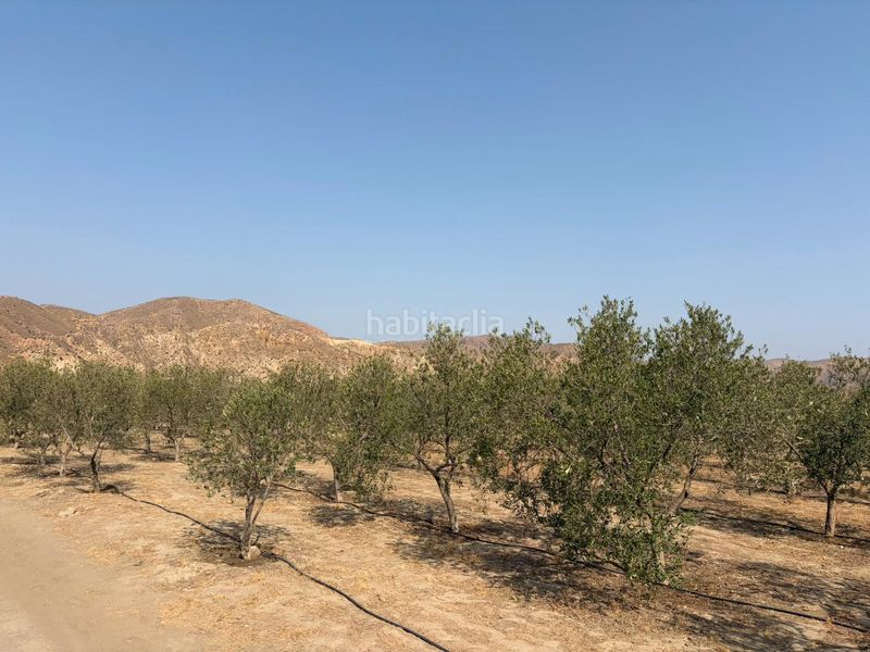 Foto a72a4978-84fe-410b-b71e-66ac1bcfa9c3. Finca rústica a Santa Fe de Mondújar